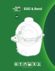 Big Green Egg