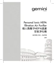 Gemini