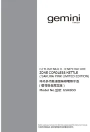Gemini