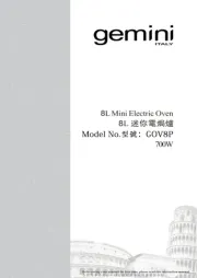 Gemini