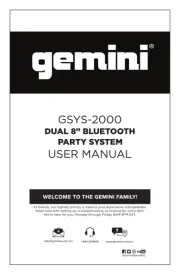Gemini