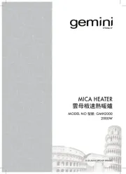 Gemini