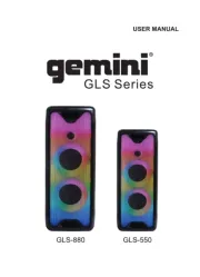 Gemini