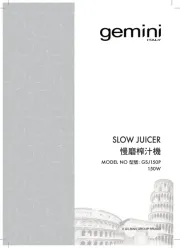 Gemini