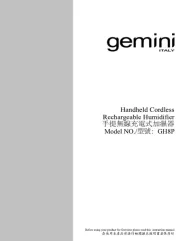 Gemini