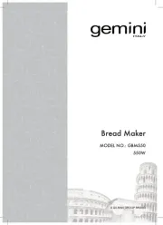 Gemini