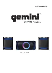 Gemini