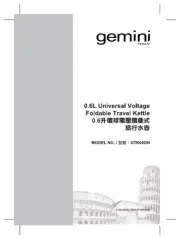 Gemini