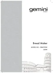 Gemini