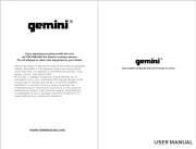 Gemini