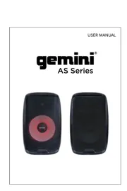 Gemini