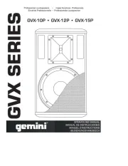 Gemini