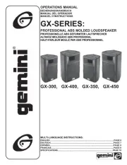 Gemini
