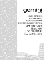 Gemini