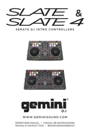 Gemini