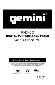Gemini