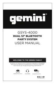 Gemini