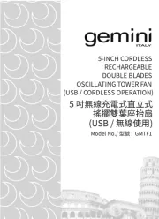 Gemini