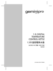 Gemini