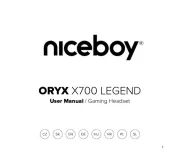Niceboy