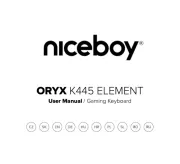 Niceboy