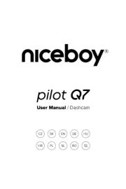 Niceboy