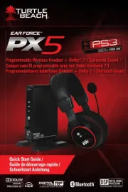 Turtle Beach