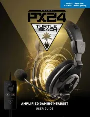 Turtle Beach