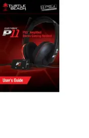 Turtle Beach