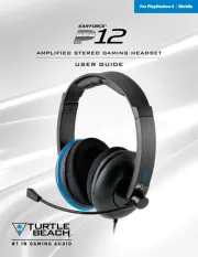 Turtle Beach