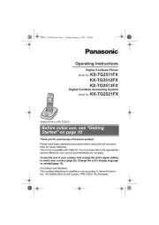 Panasonic