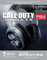 Turtle Beach