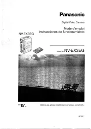 Panasonic