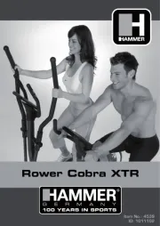 Hammer