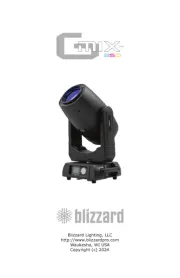 Blizzard