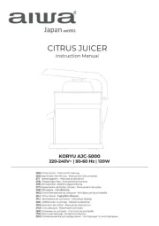 Aiwa