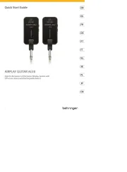 Behringer