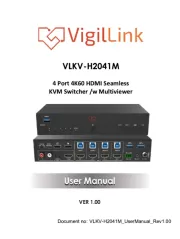 VigilLink