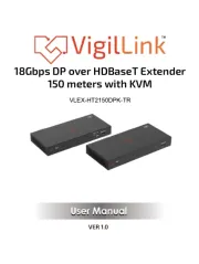 VigilLink