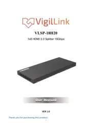 VigilLink