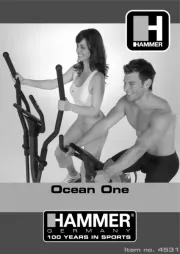 Hammer