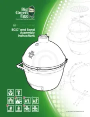 Big Green Egg