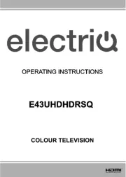 ElectriQ