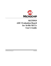 Microchip