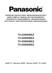 Panasonic