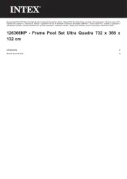 Intex