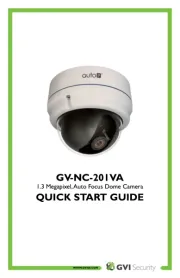 GVI Security