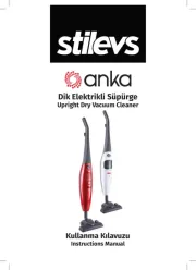 Stilevs