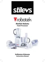 Stilevs