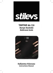 Stilevs